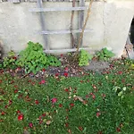 Im Seidlerhof Mit Balkon Und Garten