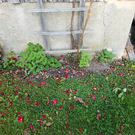 Im Seidlerhof Mit Balkon Und Garten