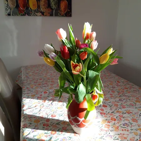 Apartment Im Seidlerhof Mit Balkon Und Garten Rohrnbach