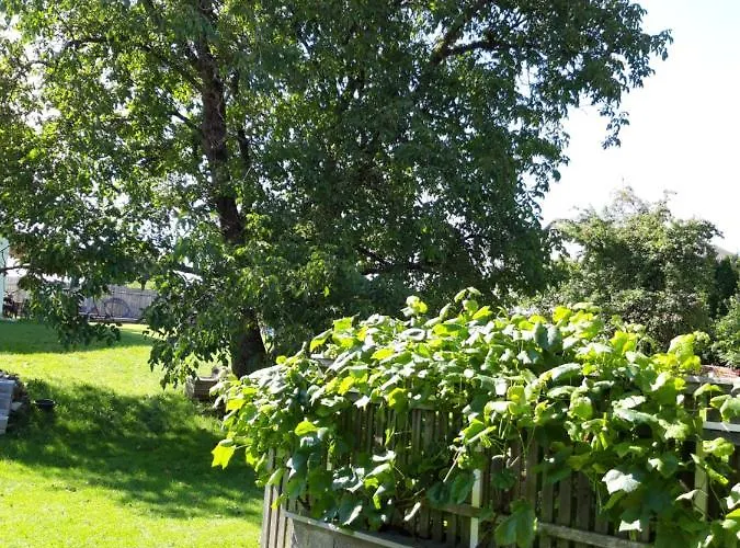 Im Seidlerhof Mit Balkon Und Garten * Röhrnbach