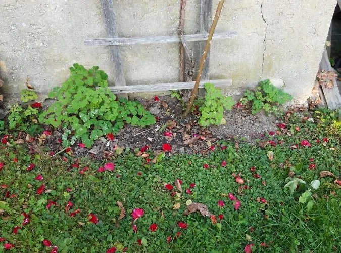 Im Seidlerhof Mit Balkon Und Garten