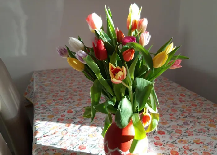 Apartament Im Seidlerhof Mit Balkon Und Garten Röhrnbach
